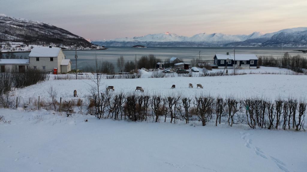 Utsikten Feriehus I Bakkeby Екстериор снимка